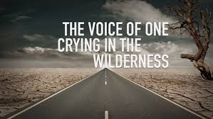 voice in the wilderness